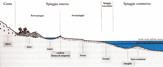 Profilo e nomenclatura spiaggia