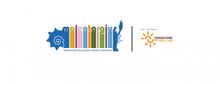 logoFondSud x sito