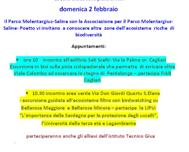 Immagine locandina per sito