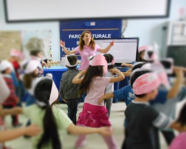 Flamingo dance