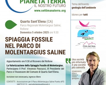 Sardegna1 -2025 - spiaggia fossile nel parco di molentargius saline_page-0001