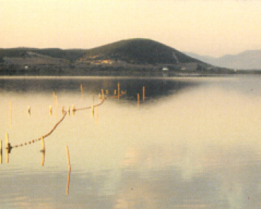 scanmaestrale