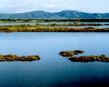 scanportobotte