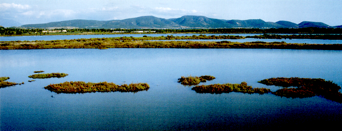 scanportobotte