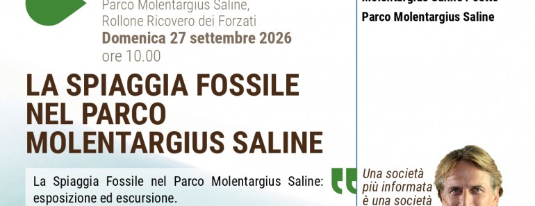 Sardegna - la spiaggia fossile nel parco di montelargius saline (1)_page-0001 (1)